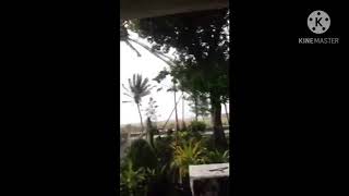 Typhoon Quinta sa BicolCamarines Sur  Windy with Heavy Rain Oct252020 [upl. by Dorcas]