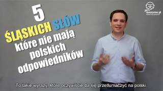 5 Śląskich Słów Które Nie Mają Polskiego Odpowiednika [upl. by Narad]