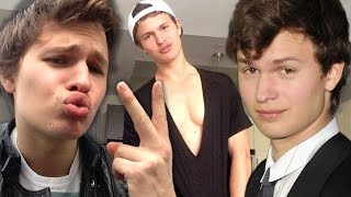 7 Times Ansel Elgort Made the Internet SWOON [upl. by Lleunamme]