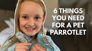 6 Things You Need For a Pet Parrotlet [upl. by Islaen]