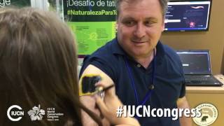 Life at the IUCN Congress [upl. by Russo]