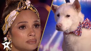 Dog Magic Act Makes Judges CRY on Britains Got Talent [upl. by Marline]