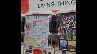 Gashapon at Surugaya Tenmonkan [upl. by Renraw669]