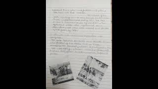 project on Displacing indigenous people class 11  term 2 History [upl. by Annabela]