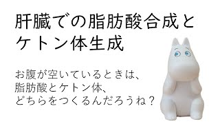 肝臓での脂肪酸合成とケトン体生成 管理栄養士国家試験対策 [upl. by Yro]