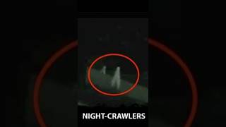 Legend of the Fresno Nightcrawlers [upl. by Aneem]