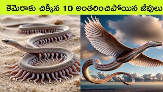 Top 10 Extinct animals caught on camera  amazon forest animals  facts in telugu  bmc factstelugu [upl. by Weslee809]