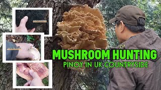 MUSHROOM HUNTING  PINOY IN UK COUNTRYSIDE  BEEFSTEAK MUSHROOM [upl. by Anilat80]