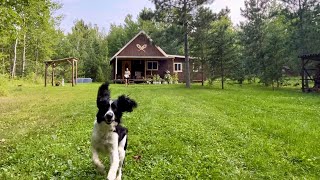 Simple Minnesota Homesteading Permits Building The Kitchen In The Addition [upl. by Claude]