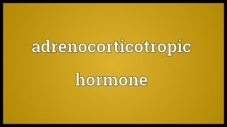 Adrenocorticotropic hormone Meaning [upl. by Enilorak]