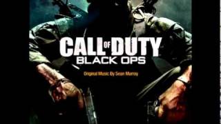 Call of Duty Black Ops OST  Invictus [upl. by Candida]