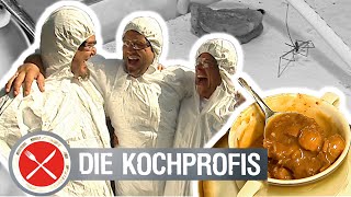 😱 SCHIMMEL und KRIECHTIERE 🕷️ in der Küche Ein absolutes NO GO ❌ Die Kochprofis  Einsatz am Herd [upl. by Jareb]