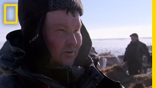 Man Castrates Reindeer With His Teeth  National Geographic [upl. by Tigdirb885]