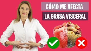 ¿Es PELIGROSA la GRASA VISCERAL  Qué es la grasa abdominal  Nutrición y Dietética [upl. by Trahurn501]