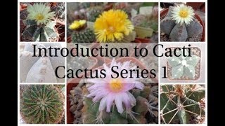 Introduction to Cacti Cactus Series 1 [upl. by Melnick500]