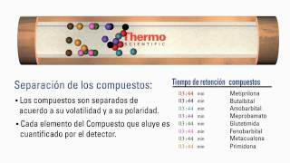 Spanish  How GC Columns Work [upl. by Kwabena192]