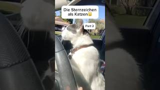 Die Sternzeichen als Katzen🐱Part 2 sternzeichen zodiacsigns funny cats fy viral [upl. by Nysilla]