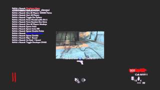 CoD WaW Physics n Flex v2 Infectable Mod Menu  FREE Invites [upl. by Nueoht610]