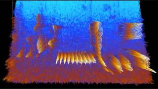 3D sonogramsspectrograms of House Wren and European Wren and turned into violin music [upl. by Francesco410]