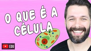 O QUE É A CÉLULA  Biologia com Samuel Cunha [upl. by Dwayne]