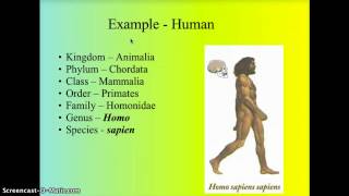 Taxonomy  Classification [upl. by Vargas]