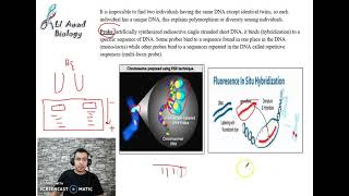 Chapter 4 Activity 4 Detection of genetic polymorphism part 2 Grade11science [upl. by Leatri]