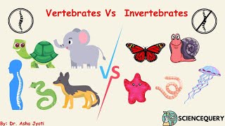 Vertebrates vs Invertebrates [upl. by Accalia]