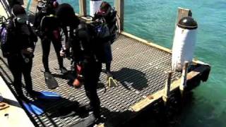 Bayplay in Coxys Big Break  Discover Scuba Diving  Portsea Mornington Peninsula [upl. by Hobart]