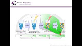 NonSpecific Binding of Antibodies in Immunoassays Webinar How to Overcome All Problems [upl. by Theall]