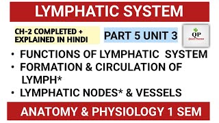 Lymphatic System  Lymph Nodes  Lymph Vessels  Functions  Part 5 Unit 3 complete  Hap 1st [upl. by Koo434]