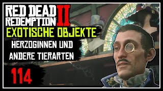 Exotische Objekte Herzoginnen und andere Tierarten ★ RED DEAD REDEMPTION 2 🐎 ★ 100  PART 114 [upl. by Cowie]