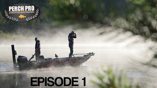 PERCH PRO 5  Episode 1  The Topwater War with German French amp Polish subtitles [upl. by Lud]