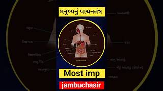 Digestive system gujrati મનુષ્યનુ પાચનતંત્ર  Most Imp🔥💯 Jambuchasir science  std10 [upl. by Nnewg124]