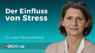 Unser Immunsystem in Gefahr Der Einfluss von Stress  Teil 41  Dr med Petra Wiechel  QS24 [upl. by Atiugram]