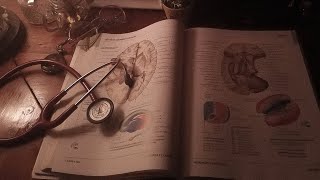 a playlist to romanticize studying medicine [upl. by Ynnavoig]