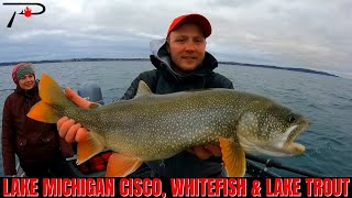 Lake Michigan Cisco Whitefish amp Lake Trout Fishing [upl. by Yelhsa]