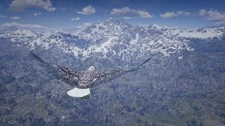 4K Playing as an Eagle amp Hawk in Red Dead Redemption 2 Animal Series Part 1 [upl. by Esenaj567]