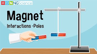 Magnet Interactions – Poles [upl. by Nyllek433]