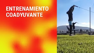 Entrenamiento coadyuvante [upl. by Candis451]