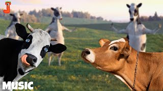 FUNNY COW DANCE 4  Cow Song amp Cow Videos 2024  Cow dance mix funny  funny dancing gay [upl. by Aistek]