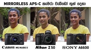 Canon M6 Mark II Vs Nikon Z50 Vs Sony A6600 Mirrorless APSC කැමරා ලෝකේ වැඩ්ඩෝ තුනෙන් හොද මොකක්ද [upl. by Anekahs536]