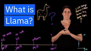 Llama The OpenSource AI Model thats Changing How We Think About AI [upl. by Aniled574]