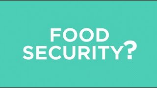 What is food security [upl. by Omsoc]