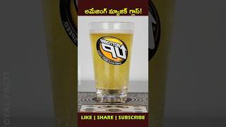 Beers🍻 from the bottom uphow factsintelugu youtubeshorts shortvideo [upl. by Urbana]