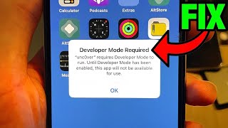 How To Enable Developer Mode On iOS 15 [upl. by Evander973]