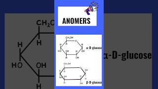 What is anomers👍  Anomers of glucose shorts youtubeshorts [upl. by Yblehs]