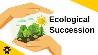 Ecological SuccessionPrimary and Secondary [upl. by Emmet]