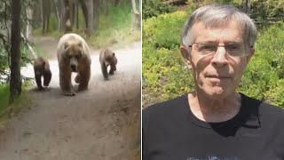 Hiker Records Video As Mama Bear And Cubs Follow Him Along Trail [upl. by Annahael]