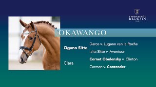 Okawango v Ogano Sitte  Cornet Obolensky OS Hengst gekört  2018 [upl. by Alleb]