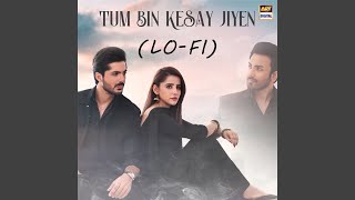 Tum Bin Keysy Jiyen LoFi [upl. by Arrais256]